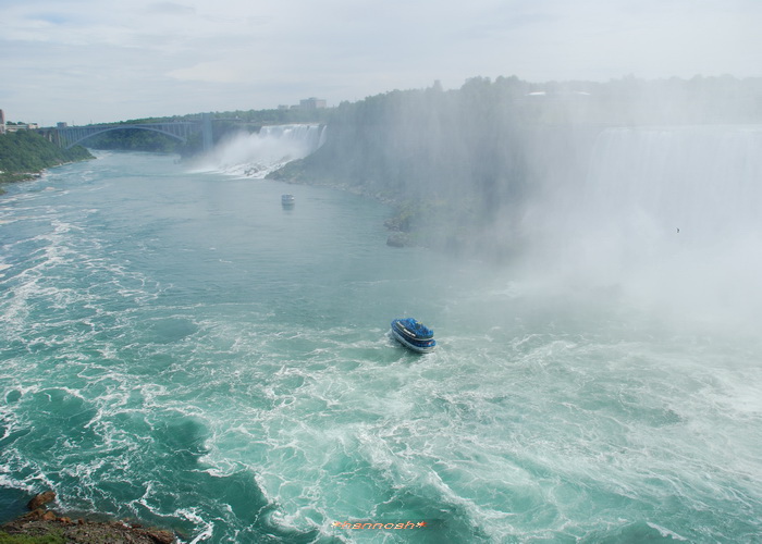 a0265027_1145401.jpg