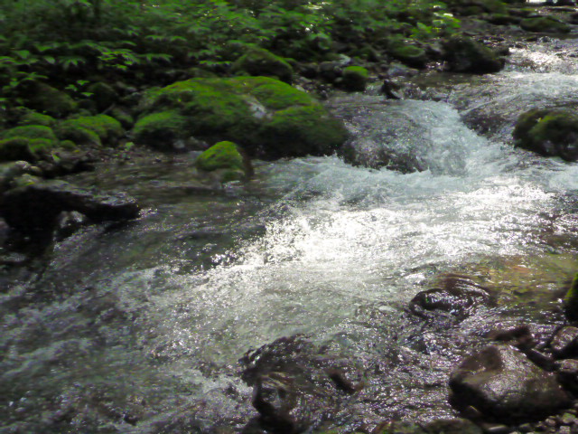 b0195927_22121298.jpg
