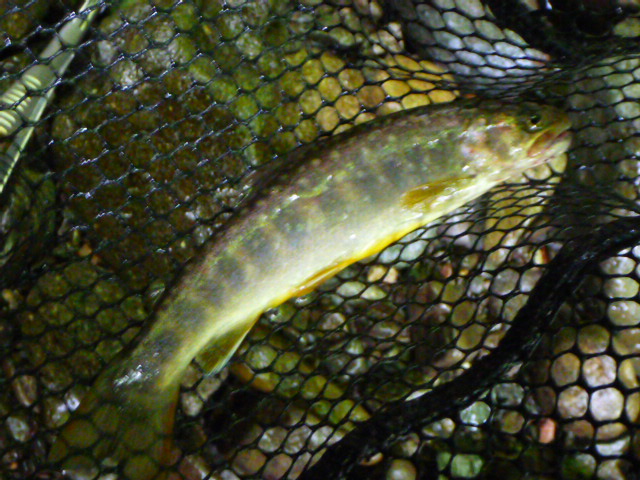 b0195927_22163884.jpg