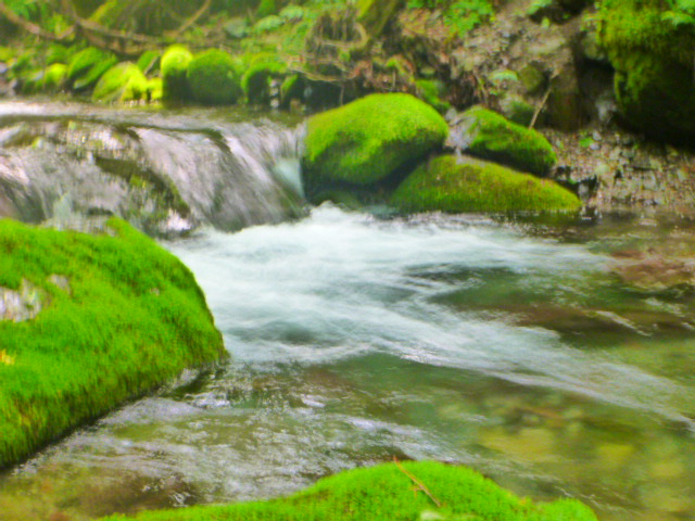 b0195927_2233834.jpg