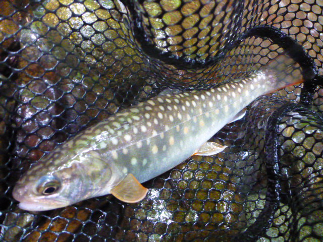 b0195927_22395068.jpg