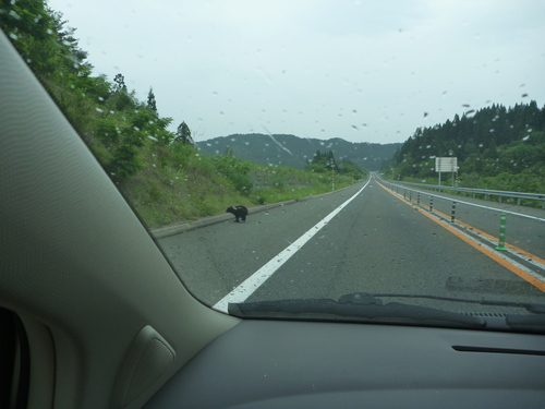 b0195927_22442356.jpg