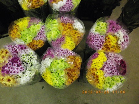 e0120932_14461539.jpg