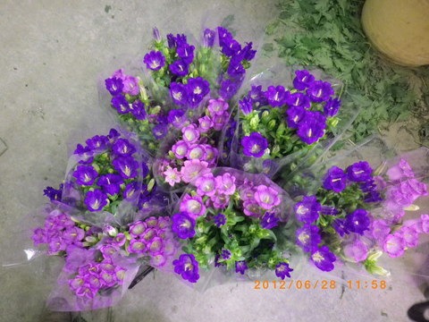e0120932_14465396.jpg