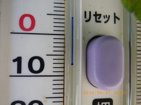 e0120932_1447166.jpg