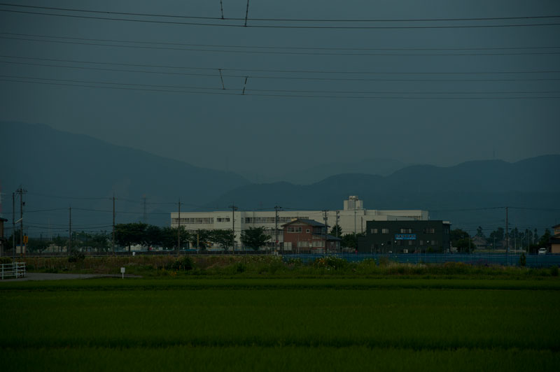b0177233_53927.jpg