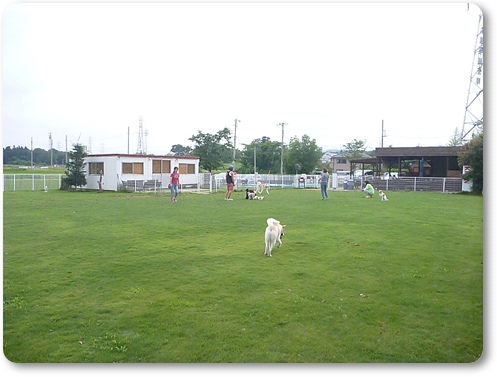 d0140133_215494.jpg