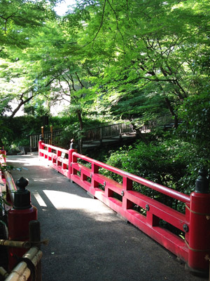 b0035734_20314781.jpg