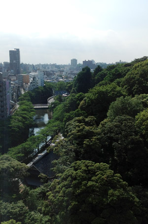 b0035734_2031579.jpg