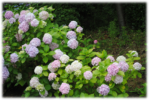 b0242873_225353.png