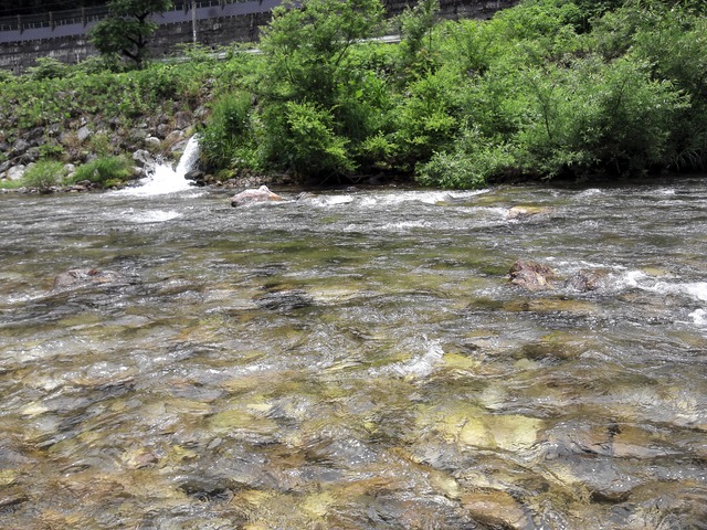 a0093677_21115876.jpg