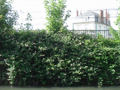 a0247585_556151.jpg