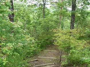 a0258087_830594.jpg