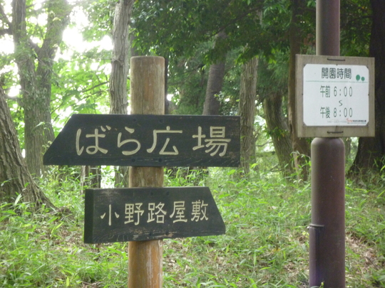 a0272591_9211928.jpg