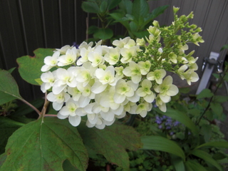 b0169292_9465450.jpg