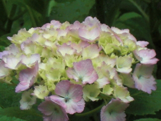 b0169292_9481685.jpg