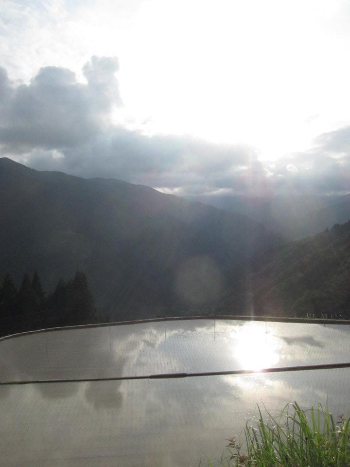 a0263593_1925566.jpg
