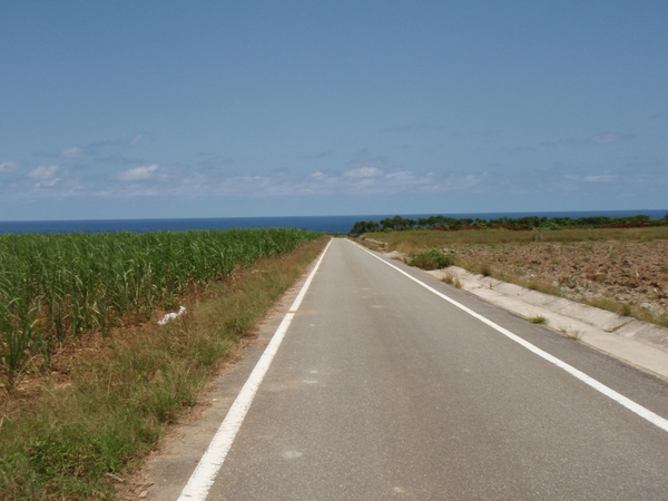 b0039898_13113365.jpg