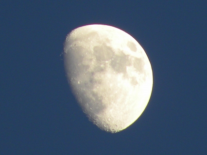 b0147203_2158241.jpg