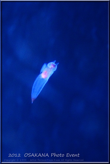 e0137705_23562575.jpg