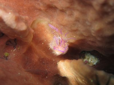 e0263905_646287.jpg