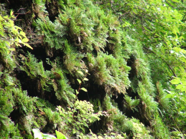 f0231709_12131252.jpg