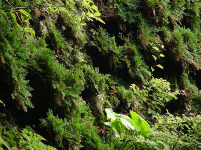 f0231709_12143226.jpg