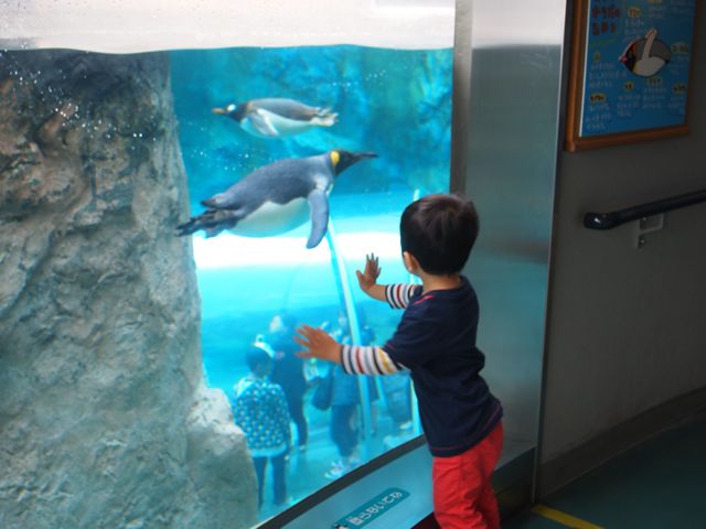 a0151615_21152100.jpg