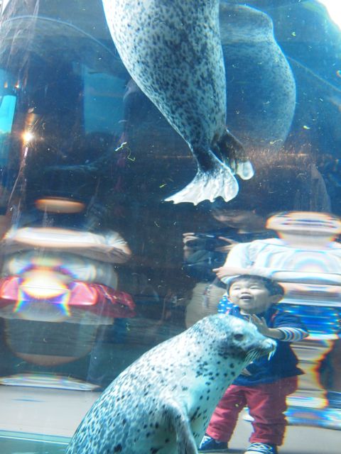 a0151615_218220.jpg