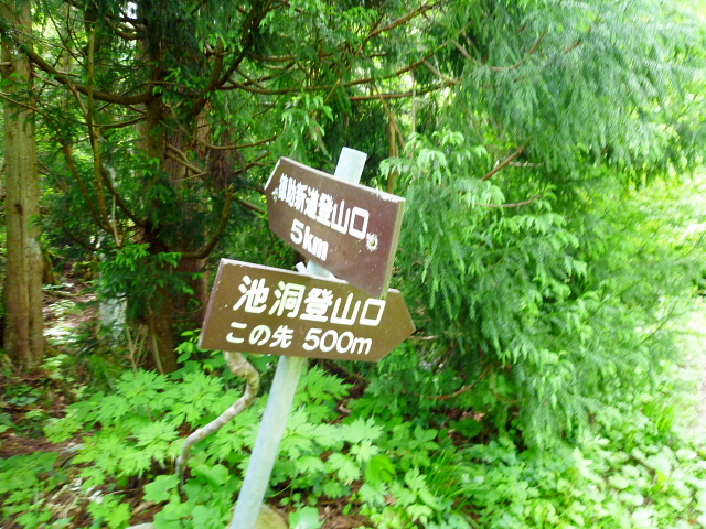 d0170615_618237.jpg