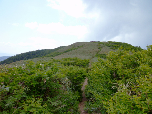 d0170615_6193722.jpg