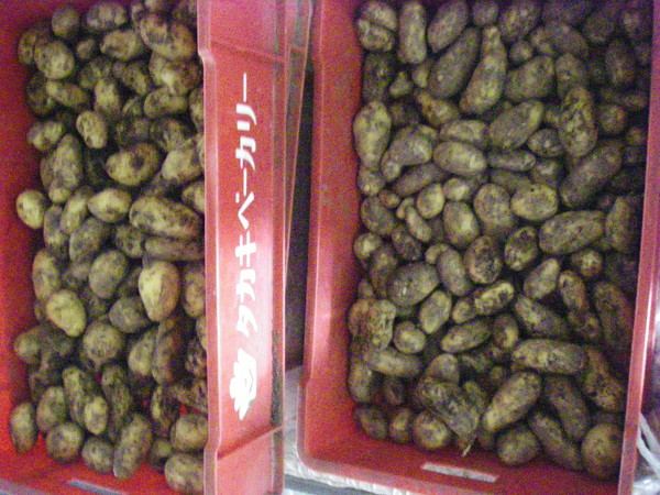 a0218118_8215847.jpg
