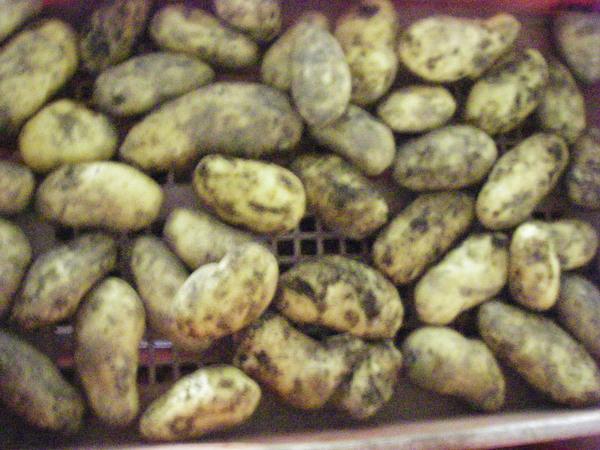 a0218118_8224999.jpg