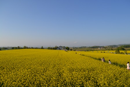 b0121019_2335554.jpg
