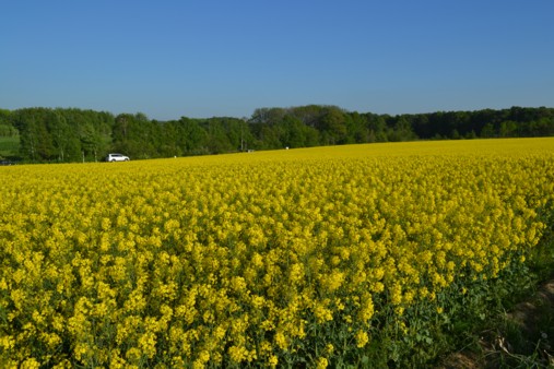 b0121019_234335.jpg