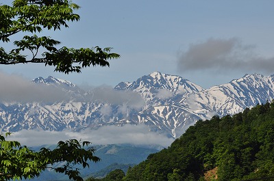 d0070920_13131825.jpg