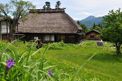 d0070920_13145377.jpg