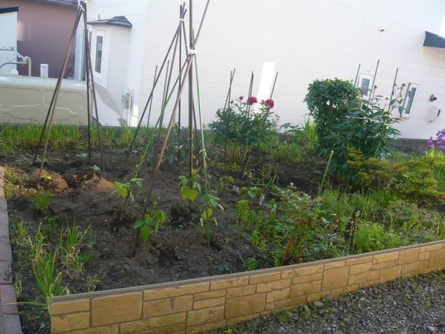 e0111220_2219229.jpg