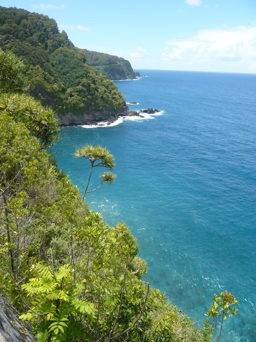 d0023725_82357.jpg