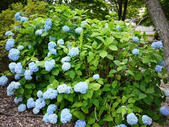 e0206031_10344624.jpg