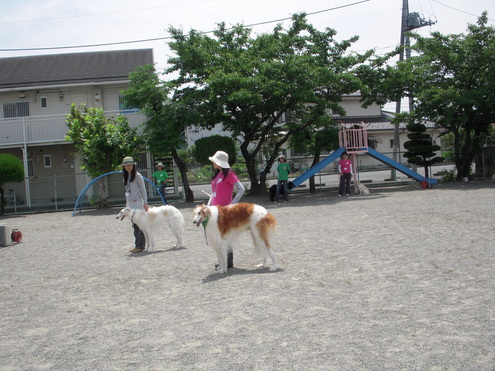 c0114833_7335359.jpg