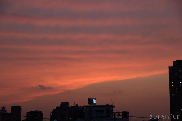 c0133533_22454859.jpg