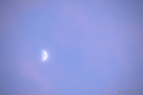 c0133533_2250933.jpg