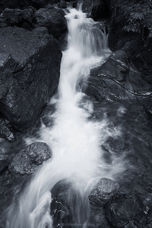 c0189533_055139.jpg