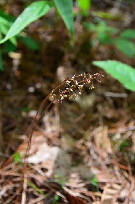 b0236334_15111852.jpg