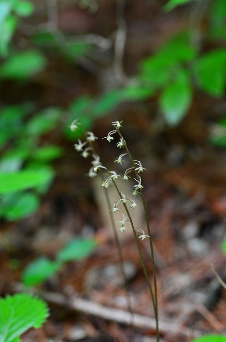 b0236334_15112889.jpg