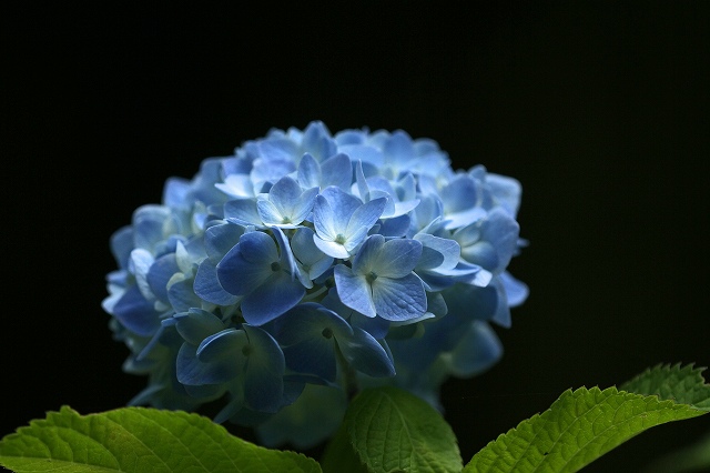 a0242438_2140141.jpg