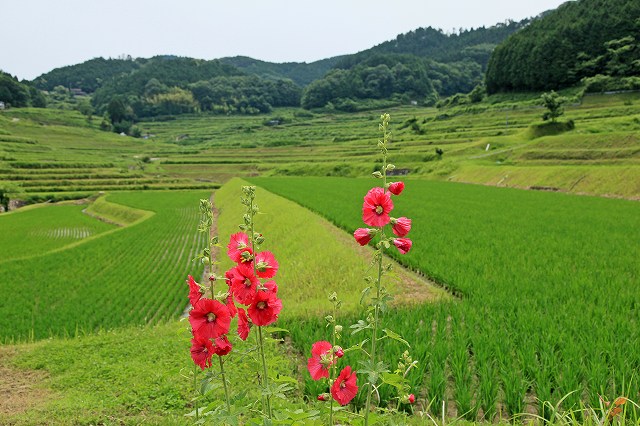 a0242438_214121100.jpg