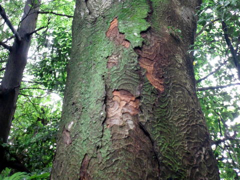 b0208756_11502457.jpg