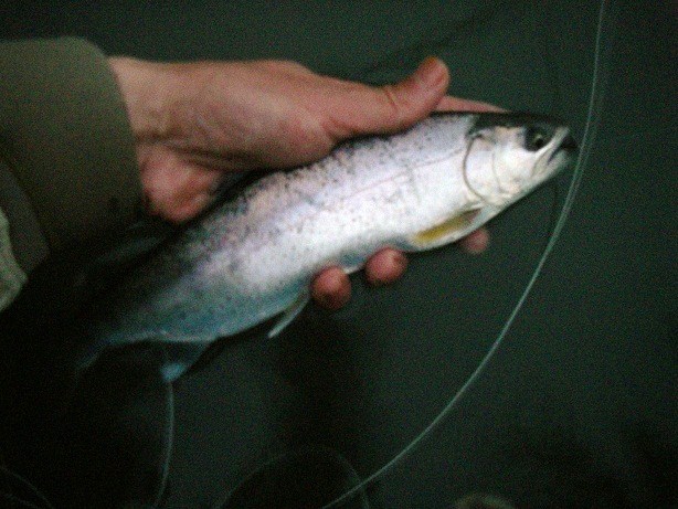 f0212059_22203296.jpg